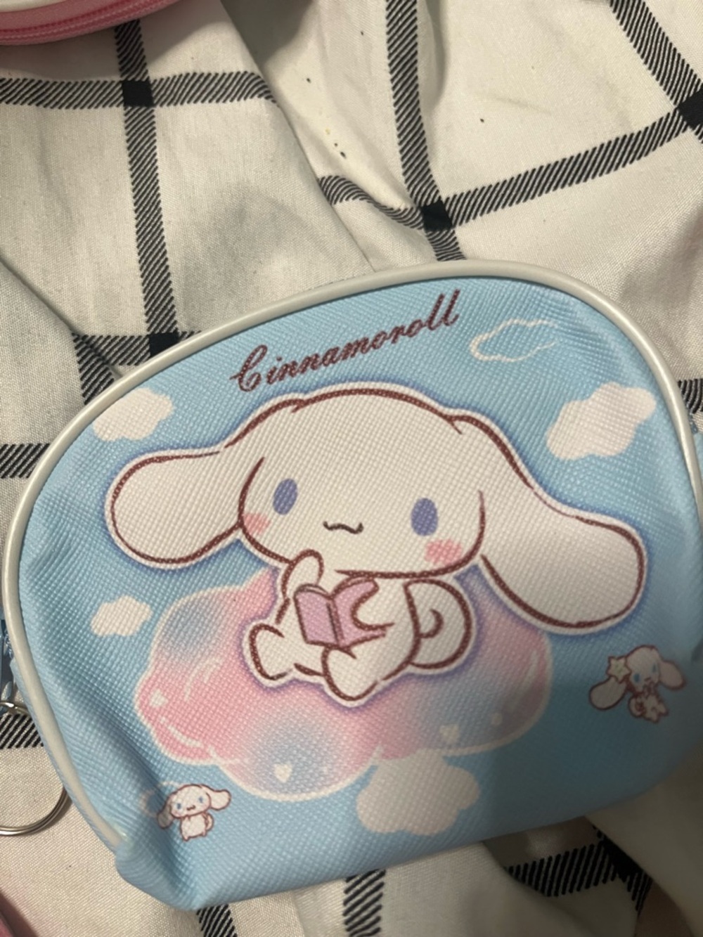 Sanrio Cinnamoroll Pastel Blue and Pink Coin Purse